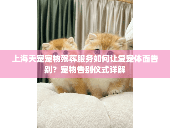 上海天宠宠物殡葬服务如何让爱宠体面告别？宠物告别仪式详解