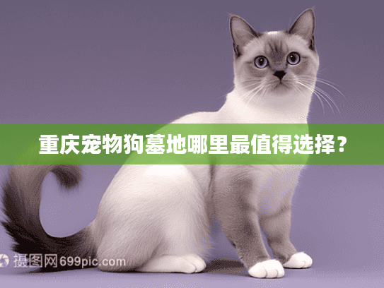 重庆宠物狗墓地哪里最值得选择？