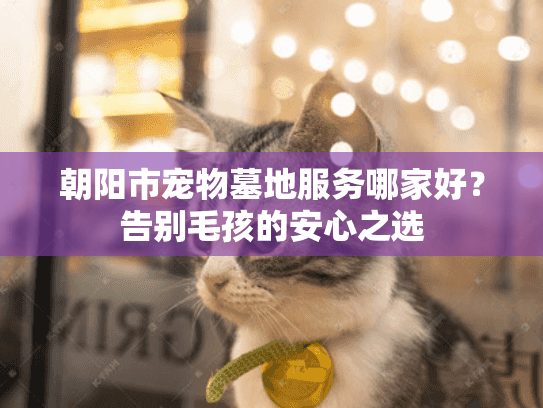 朝阳市宠物墓地服务哪家好？告别毛孩的安心之选
