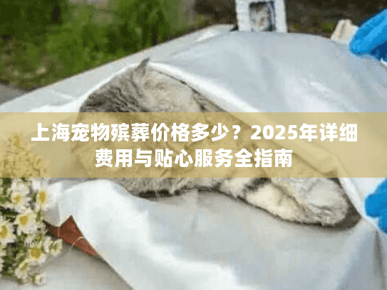 上海宠物殡葬价格多少？2025年详细费用与贴心服务全指南