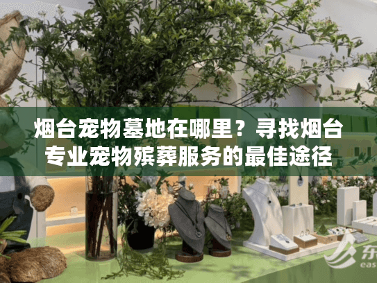 烟台宠物墓地在哪里？寻找烟台专业宠物殡葬服务的最佳途径