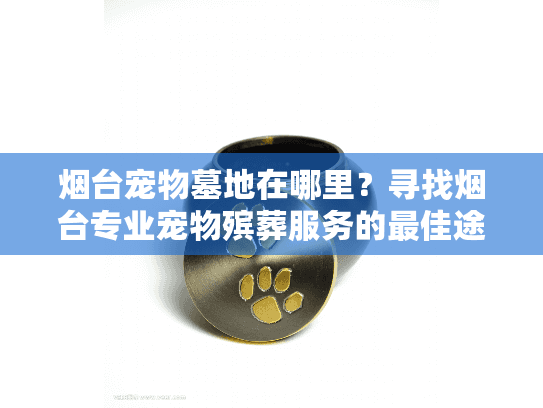 烟台宠物墓地在哪里？寻找烟台专业宠物殡葬服务的最佳途径