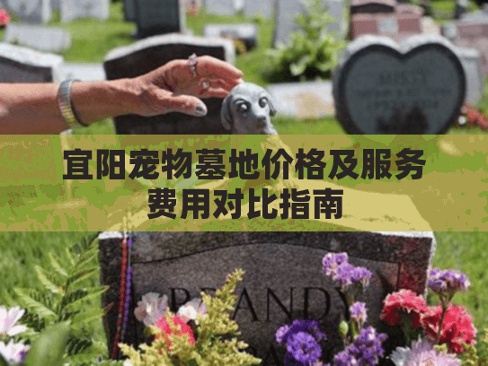 宜阳宠物墓地价格及服务费用对比指南