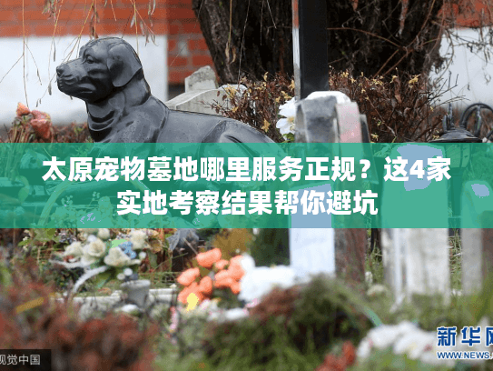 太原宠物墓地哪里服务正规？这4家实地考察结果帮你避坑