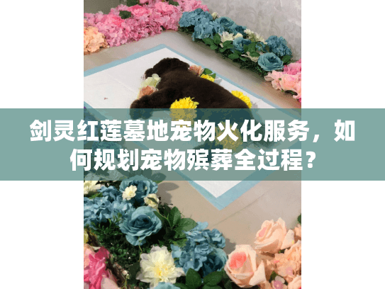 剑灵红莲墓地宠物火化服务，如何规划宠物殡葬全过程？