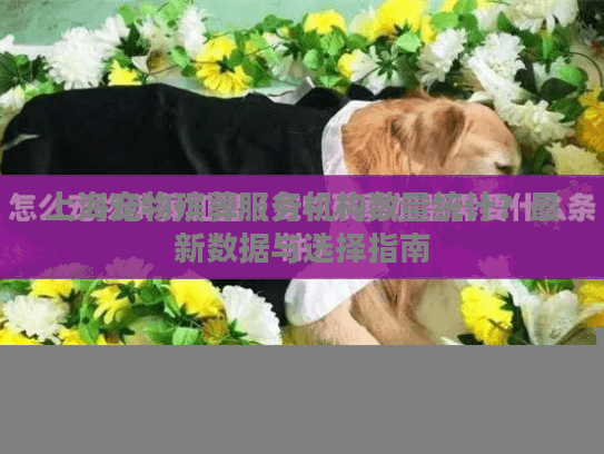 上海宠物殡葬服务机构数量统计？最新数据与选择指南