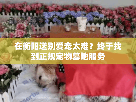 在衡阳送别爱宠太难?终于找到正规宠物墓地服务 在衡阳送别爱宠太难?终于找到正规宠物墓地服务