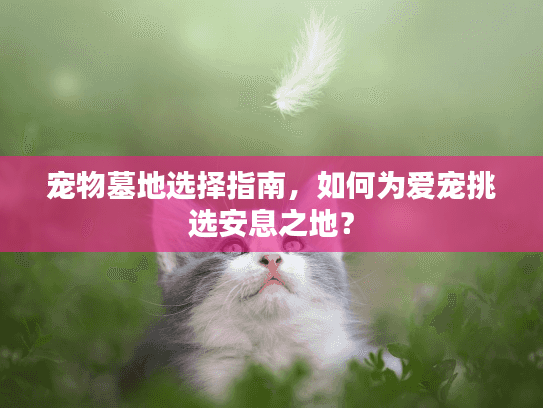 宠物墓地选择指南，如何为爱宠挑选安息之地？