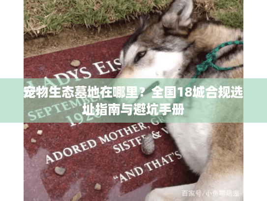宠物生态墓地在哪里？全国18城合规选址指南与避坑手册