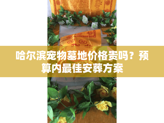 哈尔滨宠物墓地价格贵吗？预算内最佳安葬方案