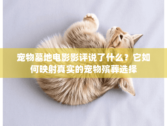 宠物墓地电影影评说了什么?它如何映射真实的宠物殡葬选择 宠物墓地电影影评说了什么?它如何映射真实的宠物殡葬选择