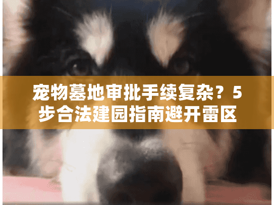 宠物墓地审批手续复杂?5步合法建园指南避开雷区 宠物墓地审批手续复杂?5步合法建园指南避开雷区