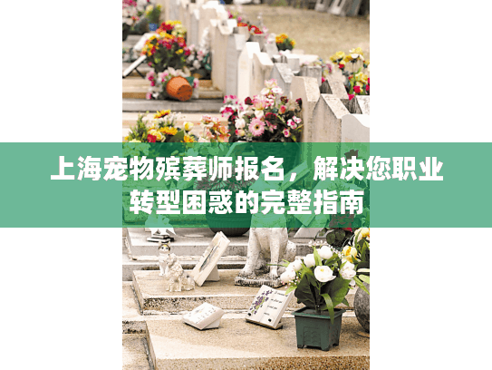 上海宠物殡葬师报名，解决您职业转型困惑的完整指南