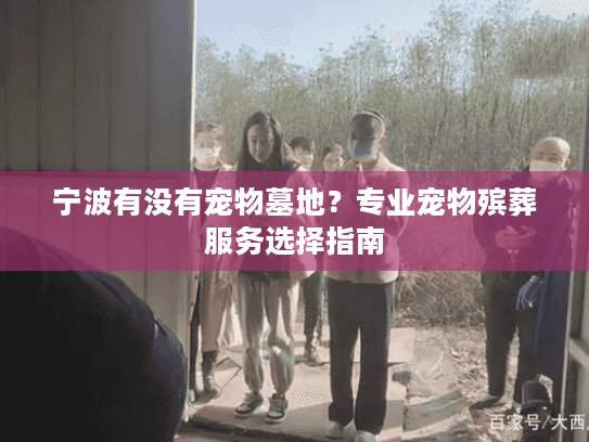 宁波有没有宠物墓地?专业宠物殡葬服务选择指南 宁波有没有宠物墓地?专业宠物殡葬服务选择指南