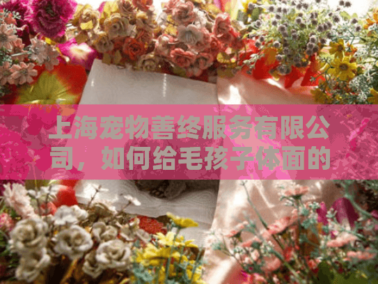 上海宠物善终服务有限公司，如何给毛孩子体面的告别？
