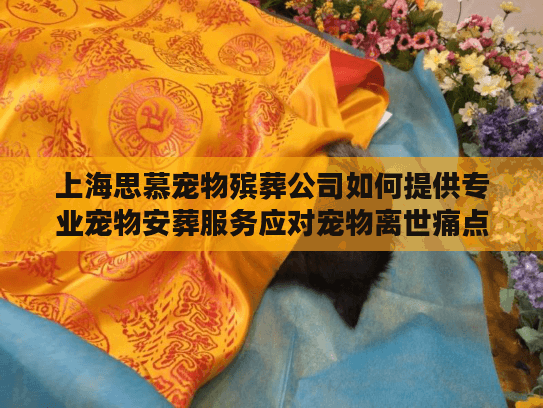 上海思慕宠物殡葬公司如何提供专业宠物安葬服务应对宠物离世痛点?