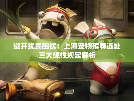 避开扰民困扰！上海宠物殡葬选址三大硬性规定解析