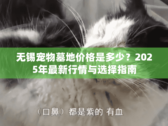 无锡宠物墓地价格是多少？2025年最新行情与选择指南