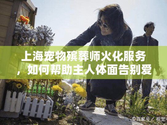 上海宠物殡葬师火化服务，如何帮助主人体面告别爱宠？