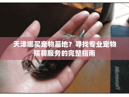 天津哪买宠物墓地?寻找专业宠物殡葬服务的完整指南 天津哪买宠物墓地?寻找专业宠物殡葬服务的完整指南
