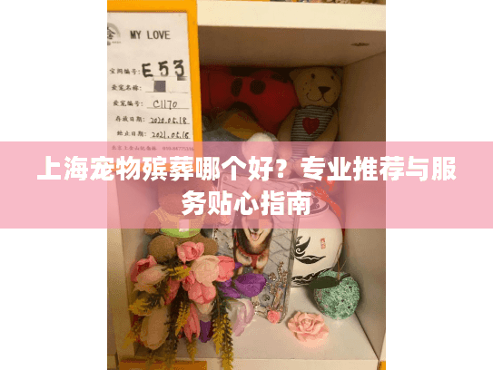 上海宠物殡葬哪个好？专业推荐与服务贴心指南