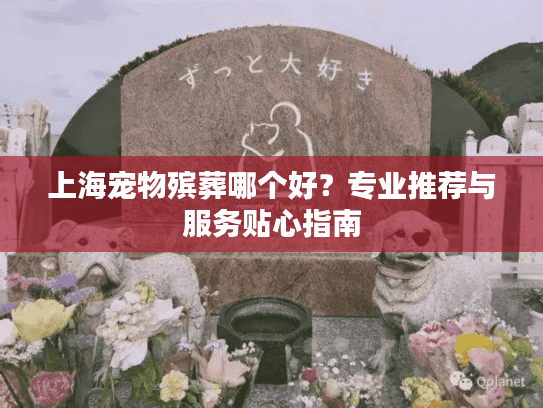 上海宠物殡葬哪个好？专业推荐与服务贴心指南