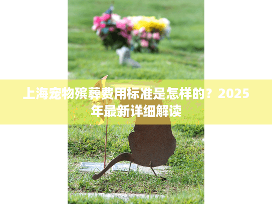 上海宠物殡葬费用标准是怎样的？2025年最新详细解读