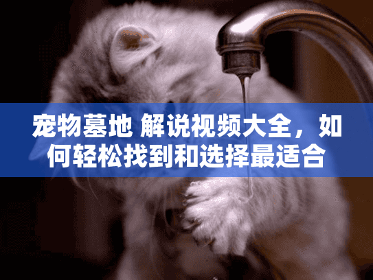 宠物墓地 解说视频大全，如何轻松找到和选择最适合的服务？