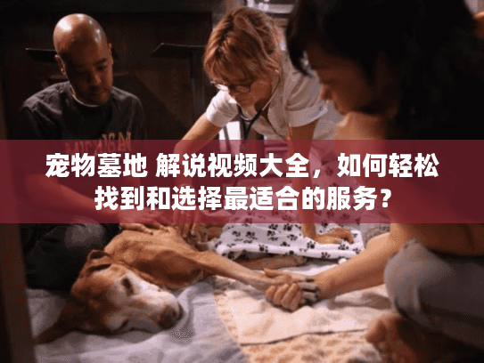 宠物墓地 解说视频大全，如何轻松找到和选择最适合的服务？