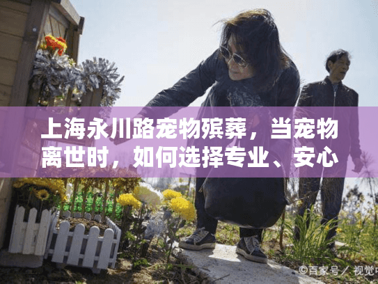 上海永川路宠物殡葬，当宠物离世时，如何选择专业、安心的告别服务？