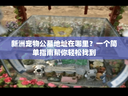 新洲宠物公墓地址在哪里？一个简单指南帮你轻松找到