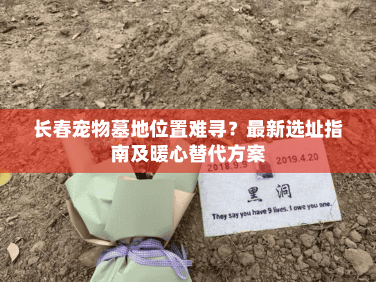 长春宠物墓地位置难寻？最新选址指南及暖心替代方案