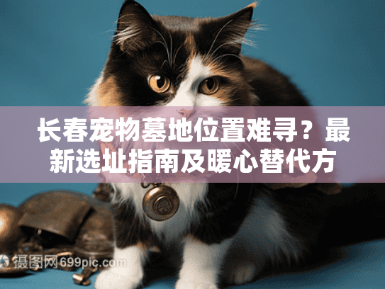 长春宠物墓地位置难寻？最新选址指南及暖心替代方案