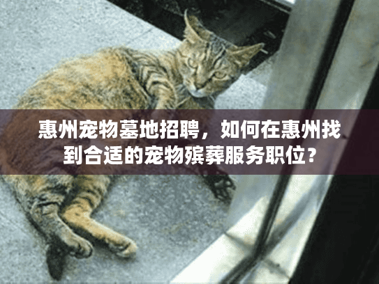 惠州宠物墓地招聘，如何在惠州找到合适的宠物殡葬服务职位？