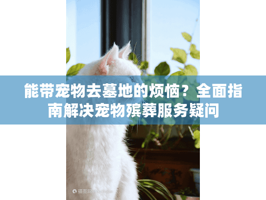 能带宠物去墓地的烦恼？全面指南解决宠物殡葬服务疑问
