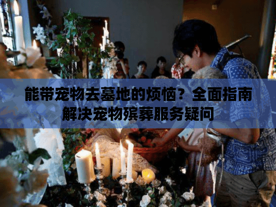 能带宠物去墓地的烦恼？全面指南解决宠物殡葬服务疑问