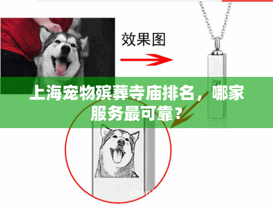 上海宠物殡葬寺庙排名，哪家服务最可靠？
