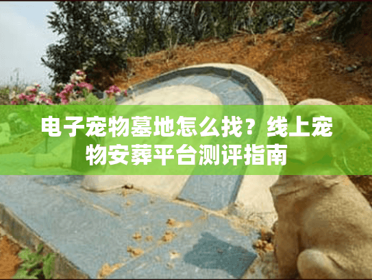电子宠物墓地怎么找？线上宠物安葬平台测评指南