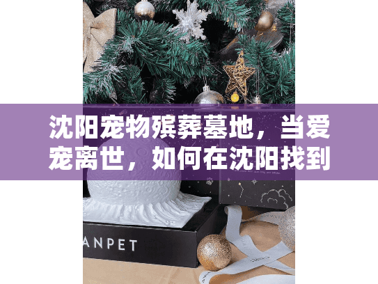 沈阳宠物殡葬墓地，当爱宠离世，如何在沈阳找到暖心归宿？