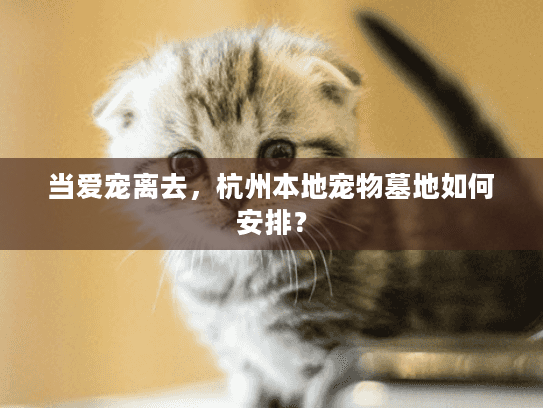 当爱宠离去，杭州本地宠物墓地如何安排？