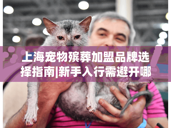 上海宠物殡葬加盟品牌选择指南|新手入行需避开哪些误区