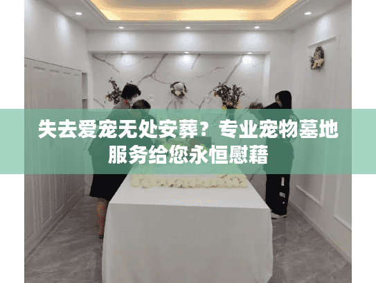 失去爱宠无处安葬？专业宠物墓地服务给您永恒慰藉