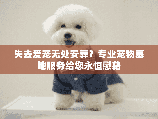 失去爱宠无处安葬？专业宠物墓地服务给您永恒慰藉