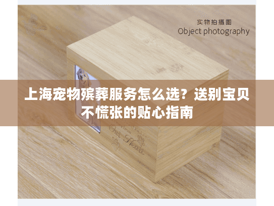 上海宠物殡葬服务怎么选？送别宝贝不慌张的贴心指南