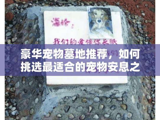 豪华宠物墓地推荐，如何挑选最适合的宠物安息之地？