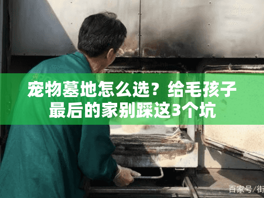 宠物墓地怎么选？给毛孩子最后的家别踩这3个坑