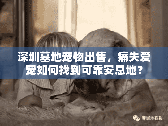 深圳墓地宠物出售，痛失爱宠如何找到可靠安息地？