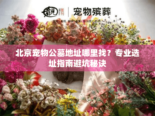 北京宠物公墓地址哪里找？专业选址指南避坑秘诀