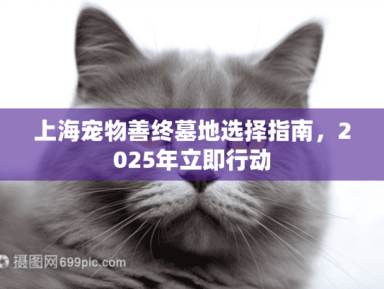 上海宠物善终墓地选择指南，2025年立即行动