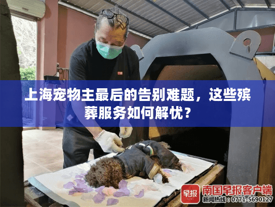 上海宠物主最后的告别难题，这些殡葬服务如何解忧？